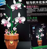 Zestaw klocków: elegancki storczyk, wieczna piękność w twoim domu