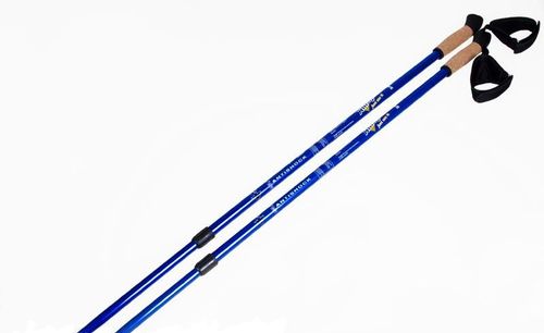 Kij Nordic Walking Allright Active blue na Arena.pl