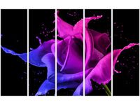 product-compare-58703652