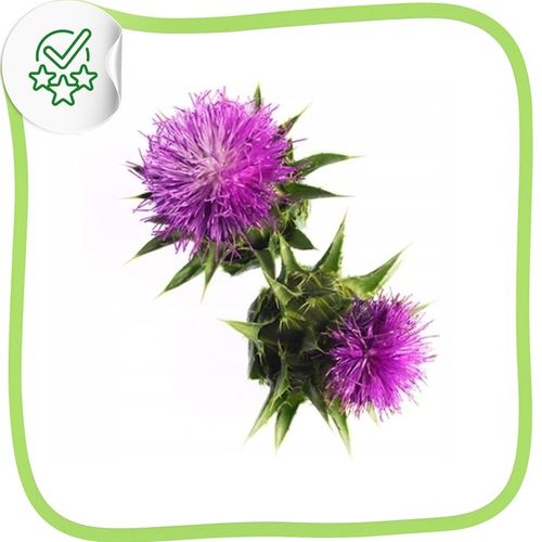 Olej z ostropestu tłoczony na zimno na wątrobę naturalny zdrowy 1L 2x500ml na Arena.pl