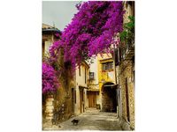 50X70CM STARE MIASTO PROWANSJI OBRAZ PION ŚCIAN