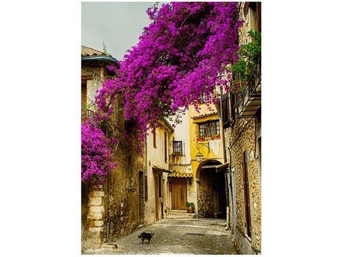 50X70CM STARE MIASTO PROWANSJI OBRAZ PION ŚCIAN na Arena.pl