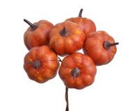 sztuczna dynia na piku 2cm  12cm 6szt. | 162can8013x6_02