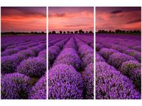 60 90CM OBRAZ 3 ELEM OSZAŁAMIAJĄCY KRAJOBRAZ LAWENDĄ DRUK PŁÓTNO RAMA