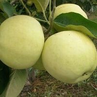 product-compare-61686729