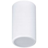 Sufitowa LAMPA tuba 137623691453 TEAM okrągły downlight natynkowy LED 12W 3000K spot biały