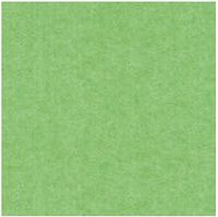 BRYSTOL A1 JASNOZIELONY GALERIA PAPIERU (20) 4870