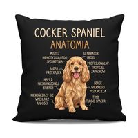 Cocker Spaniel anatomia - czarna poduszka na prezent z pieskiem