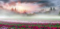 FOTOTAPETA TULIPANY GÓRY SŁOŃCE SALON 380x256