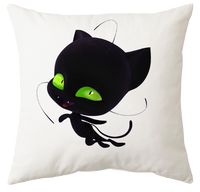 Poduszka Biedronka i Czarny Kot