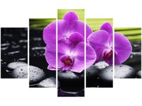 70 100CM OBRAZ 5 ELEM KAMIENIE STORCZYKI DRUK PŁÓTNO