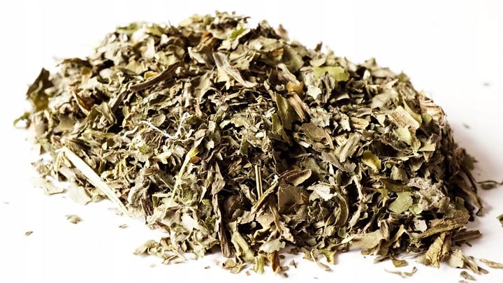 Ostrożeń 1 kg - czarcie żebro - na wątrobę zdjęcie 2