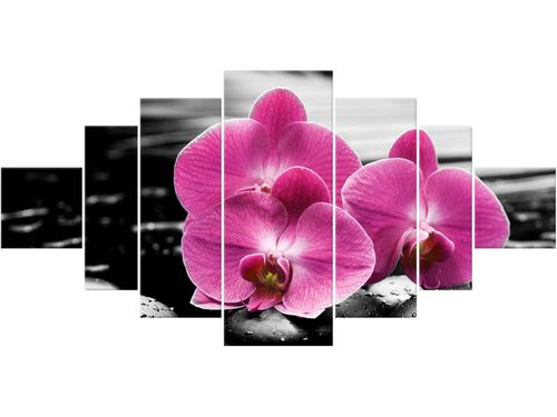 Obraz drukowany płótno 7 elementów 200x100 GRATIS na Arena.pl