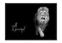 OBRAZ, PLAKAT W RAMIE 53x73 cm Zwierzeta P624