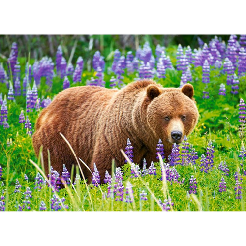 PUZZLE 120EL. BEAR ON MEADOW na Arena.pl