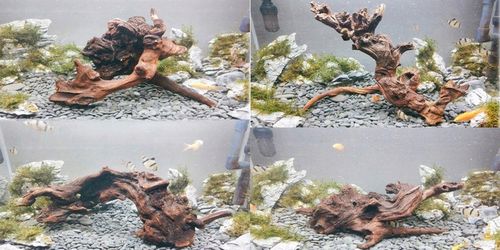 NATURALNY KORZEŃ DO AKWARIUM DESERT ROZMIAR M 20CM na Arena.pl