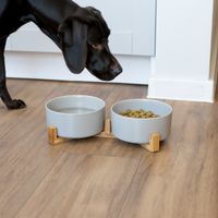 ceramiczne miski dla psa kota na stojaku - na karmę i wodę