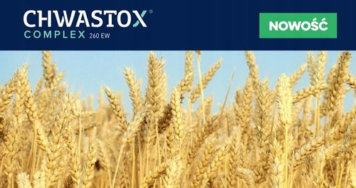 CHWASTOX COMPLEX 260 EW 1L CHWASTY TRAWNIKI BOISKA na Arena.pl