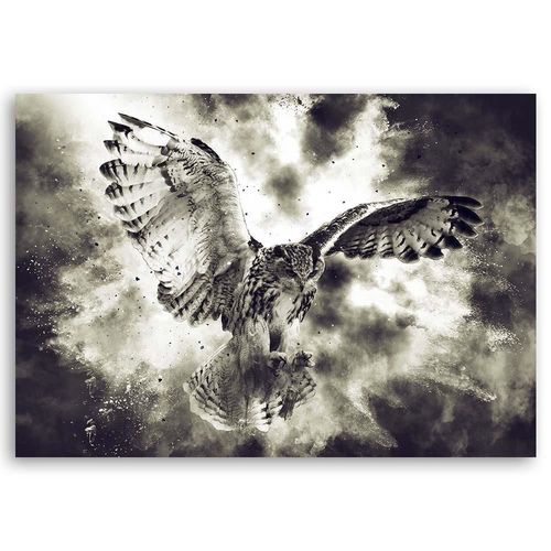 Deco Panel, Polująca sowa 70x50 na Arena.pl