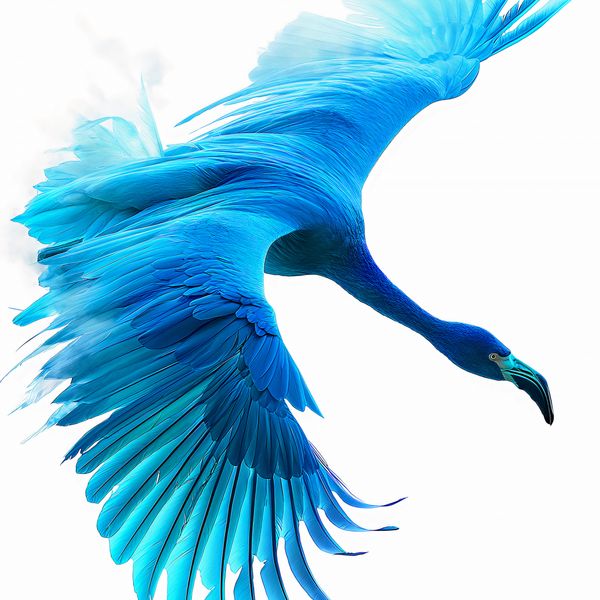 Plakat 70x70cm Błękitny Lot zdjęcie 1