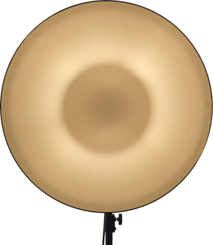 Nanlite Beauty Dish Reflector 70cm na Arena.pl