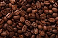 Plakat 91,5x60cm Esencja Aromatu