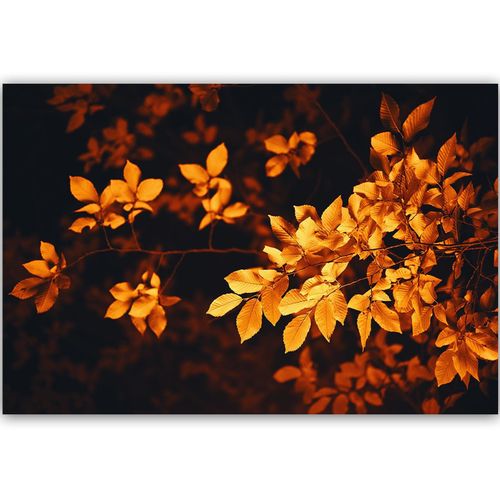 Deco Panel, Jesienny krzew 60x40 na Arena.pl