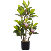 Sztuczna roślina doniczkowa 70 cm MAGNOLIA