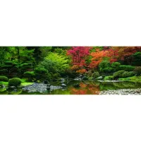 product-compare-61948600