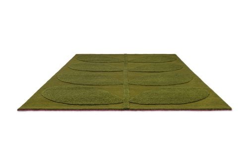 SOLID STEM FERN 158307 na Arena.pl