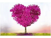 product-compare-58646595