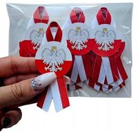 Kotyliony narodowe 11 listopada orzeł przypinki basic szpilka PAKIET