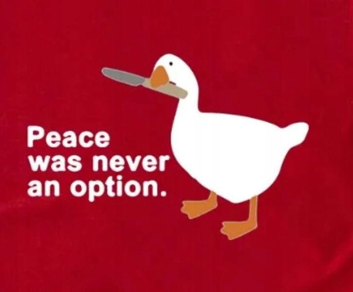 T-shirt ŚMIESZNA KOSZULKA Z GĘSIĄ r 3XL CZERWIEŃ zdjęcie 2