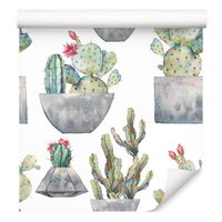 Tapeta na korytarz kwiaty kaktusy rośliny doniczki