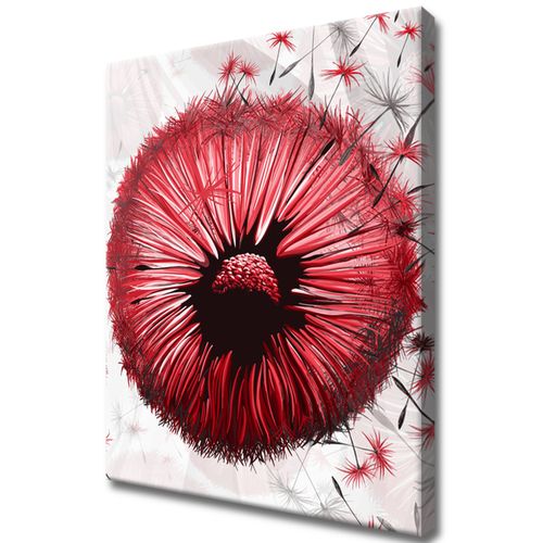 Obraz Drukowany 40X50 Czerwone Dmuchawce na Arena.pl
