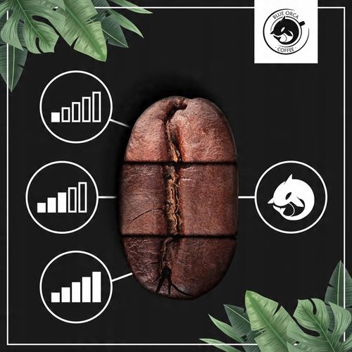Kawa ziarnista 1kg x3 do ekspresu z Palarni Świeżo Palona Blue Orca Coffee na Arena.pl