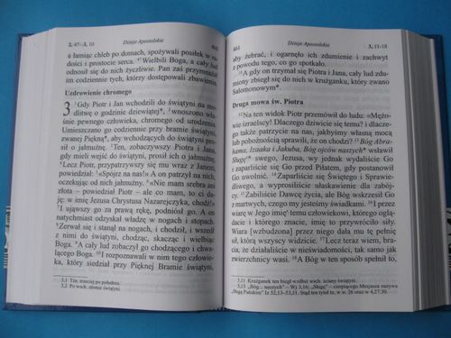 Nowy Testament. Duży druk. Pallottinum na Arena.pl