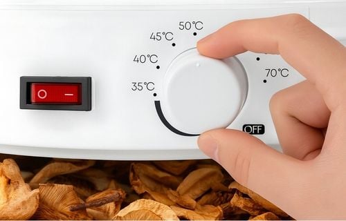 SUSZARKA SPOŻYWCZA DO GRZYBÓW OWOCÓW WARZYW REGULACJA 5 POZIOMÓW 500W na Arena.pl