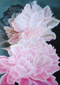 Peonie (50x70cm)