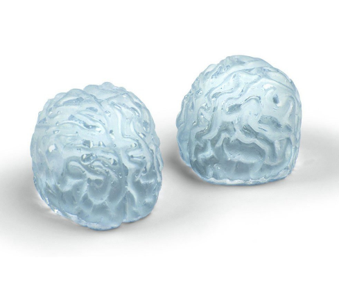 Forma silikonowa - mózg na Arena.pl