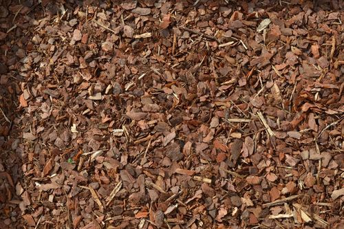 Kora sosnowa sortowana DROBNA 80 l, przesiewana na Arena.pl