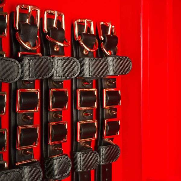 Luksusowy Zestaw Bdsm 11 Elementów Taboom Desires Masterpiece Case 17459 zdjęcie 9