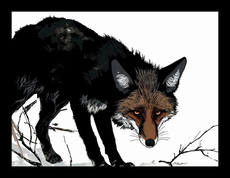 Plakat 20x15cm Nieufny Lis zdjęcie 2