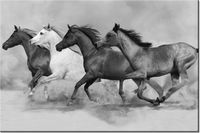 product-compare-58694547