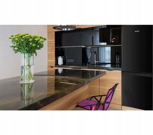 Lodówka MPM 182-KB-39 173 Litry 40 dB Czarny na Arena.pl