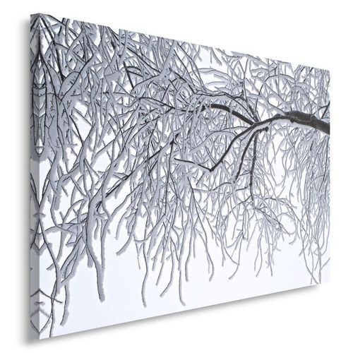 Obraz na płótnie - Canvas, Zima gałęzie 40x30 na Arena.pl