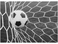 50X70CM PIŁKA BRAMCE OBRAZ POKOJU DREWNINE