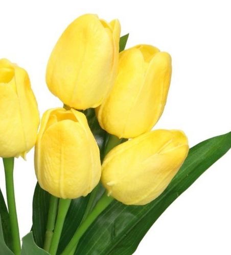 TULIPANY BUKIET TULIPANÓW GUMOWANE GUMOWE SILIKONOWE JAK ŻYWE na Arena.pl