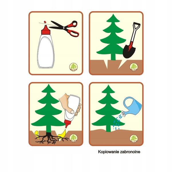 Mikoryza dla DRZEW IGLASTYCH grzybnia zdjęcie 8