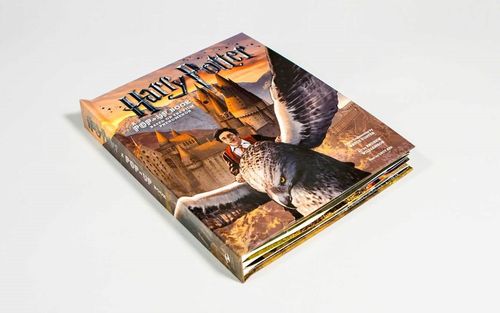 Harry Potter A Pop-Up Book na Arena.pl